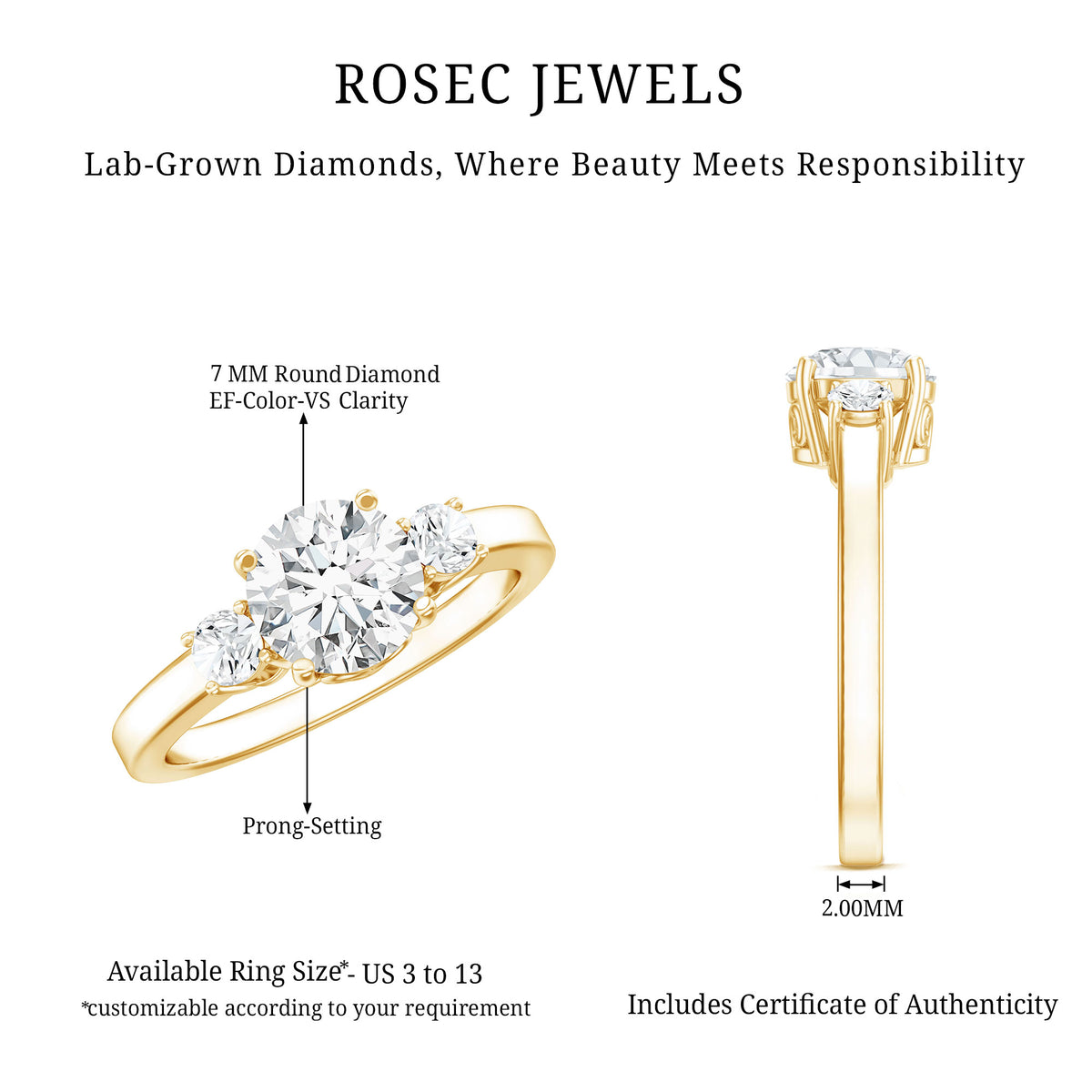 1.2 Carat Lab Grown Diamond 3 Stone Engagement Ring for Women Lab - ( EF-VS ) - Rosec Jewels