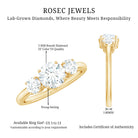 Rosec Jewels-Certified Lab Grown Diamond Three Stone Engagement Ring for Her