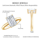 IGI Certified Emerald Cut Lab Grown Diamond 3 Carat Engagement Ring Lab - ( EF-VS ) - Rosec Jewels