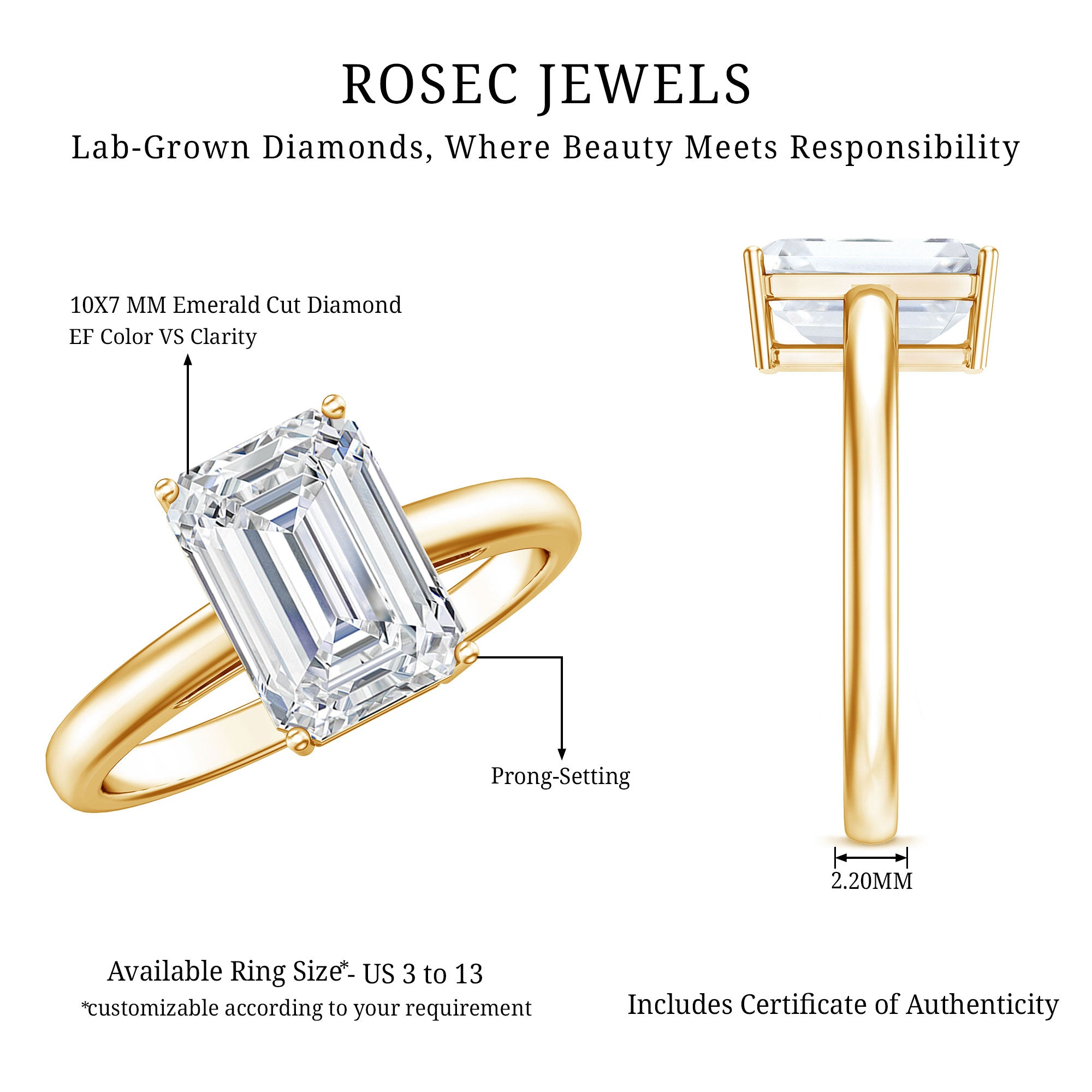 IGI Certified Emerald Cut Lab Grown Diamond 3 Carat Engagement Ring Lab - ( EF-VS ) - Rosec Jewels