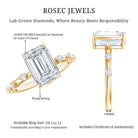 IGI Certified 3 Carat Emerald Cut Lab Grown Diamond Engagement Ring Lab - ( EF-VS ) - Rosec Jewels