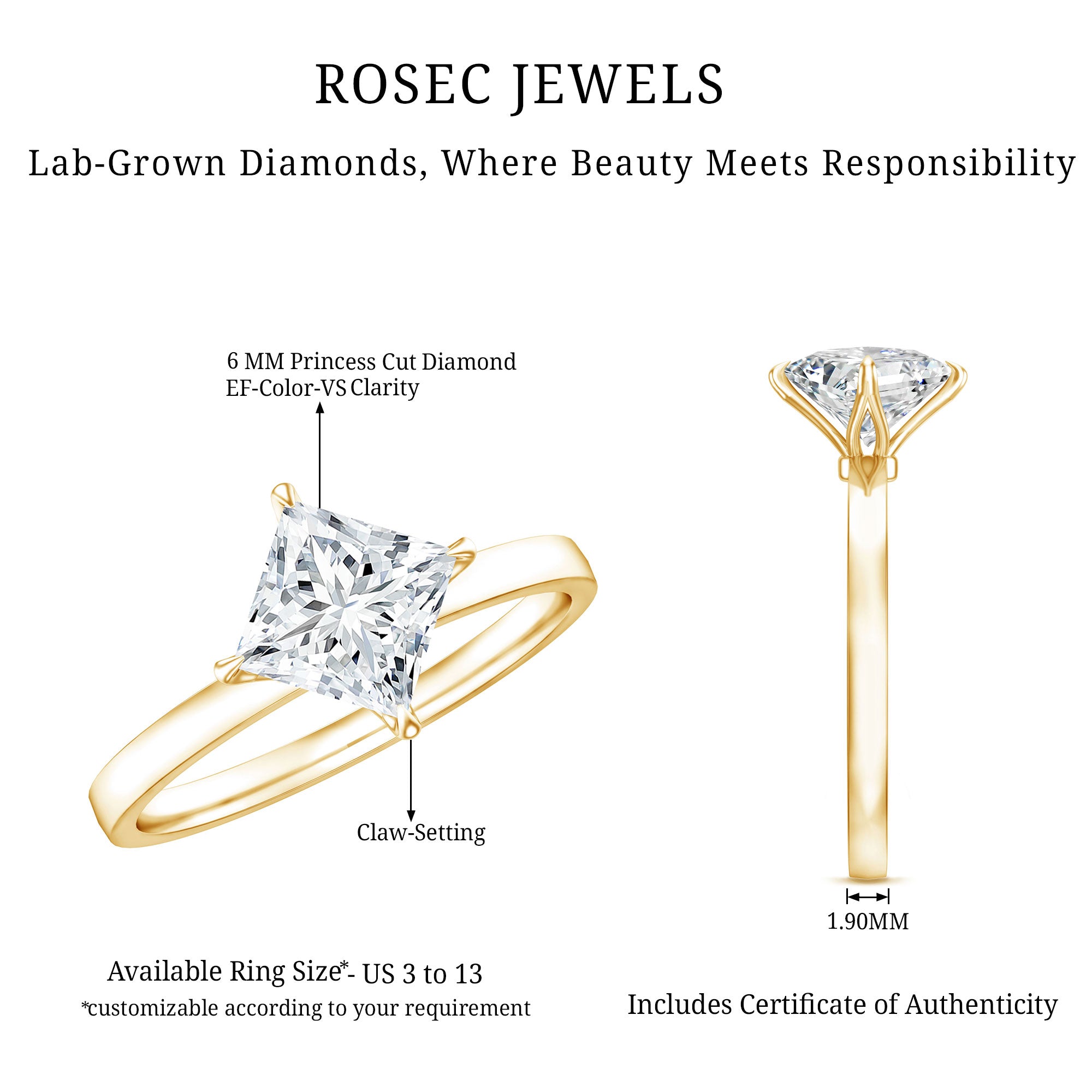 1 Carat Lab Created Diamond Princess Cut Engagement Ring IGI Certified Lab - ( E-VS1 ) - Rosec Jewels