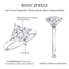 IGI Certified Lab Grown Diamond 3 Carat Princess Cut Engagement Ring Lab - ( E-VS1 ) - Rosec Jewels