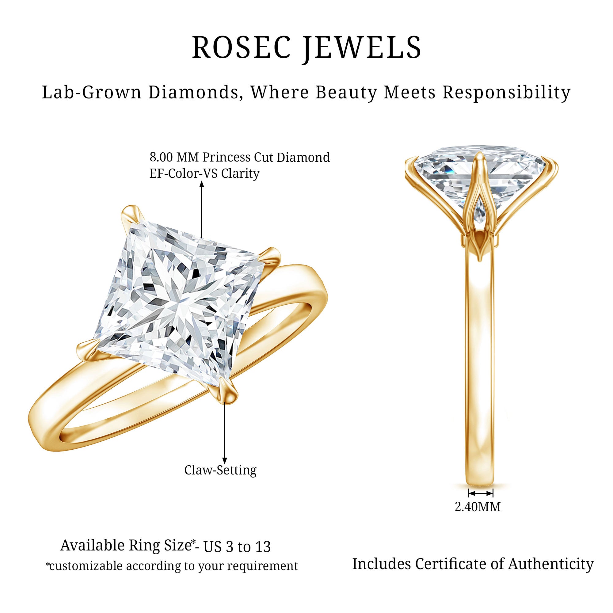 IGI Certified Lab Grown Diamond 3 Carat Princess Cut Engagement Ring Lab - ( E-VS1 ) - Rosec Jewels