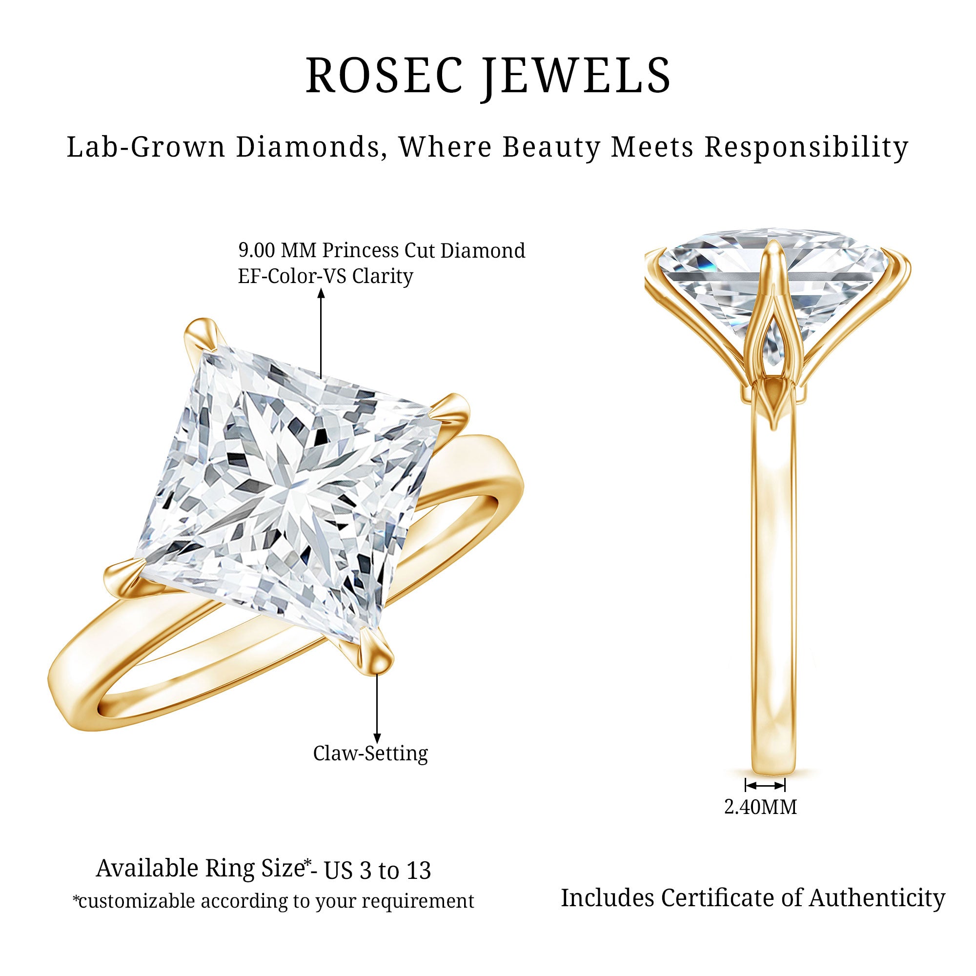 IGI Certified 4 Carat Princess Cut Lab Grown Diamond Engagement Ring Lab - ( E-VS1 ) - Rosec Jewels
