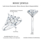 Solitaire 5 Carat Princess Cut Lab Grown Diamond Huge Engagement Ring with IGI Certificate Lab - ( E-VS1 ) - Rosec Jewels