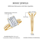 Ethically Sourced 3 Carat Lab Grown Diamond Emerald Cut Engagement Ring IGI Certified Lab - ( EF-VS ) - Rosec Jewels