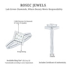 Rosec Jewels-Princess Cut Lab Grown Diamond Bridal Ring Set