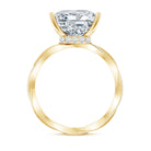 Rosec Jewels-IGI Certified 5 Carat Princess Cut Lab Grown Diamond Huge Engagement Ring with Braided Band