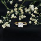 IGI Certified Lab Grown Diamond 3 Carat Engagement Ring with Side Stones Lab - ( E-VS1 ) - Rosec Jewels