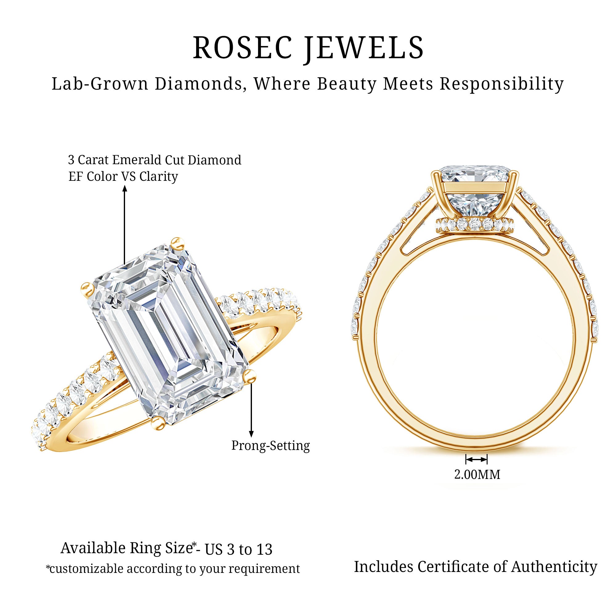 Rosec Jewels-Emerald Cut Lab Grown Diamond Hidden Halo Engagement Ring 3 Carat IGI Certified