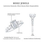 Rosec Jewels-2 Carat IGI Certified Emerald Cut Lab Grown Diamond Side Stone Engagement Ring