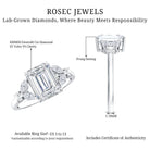 Rosec Jewels-IGI Certified Emerald Cut Lab Grown Diamond Split Shank Engagement Ring 2 Carat