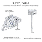 IGI Certified Lab Grown Diamond Emerald Cut Engagement Ring 3 Carat Lab - ( E-VS1 ) - Rosec Jewels
