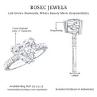 Rosec Jewels-IGI Certified Lab Grown 3 Carat Diamond Heart Engagement Ring with Side Stones
