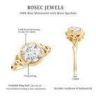 Brilliant Cut Moissanite Engagement Ring with Rope Frame D-VS1 - Rosec Jewels