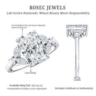 Rosec Jewels-Lab Grown Diamond 3 Carat Radiant Cut Engagement Ring with IGI Certificate