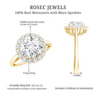 Classic Round Cut Moissanite Big Engagement Ring D-VS1 - Rosec Jewels