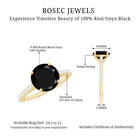 Round Cut Black Onyx Engagement Ring with Diamond Side Stones AAA - Rosec Jewels