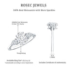 Oval and Pear Cut Moissanite Three Stone Engagement Ring D-VS1 - Rosec Jewels