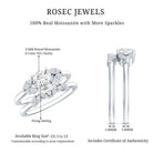 Round Cut Moissanite Bridal Ring Set with Certificate D-VS1 - Rosec Jewels