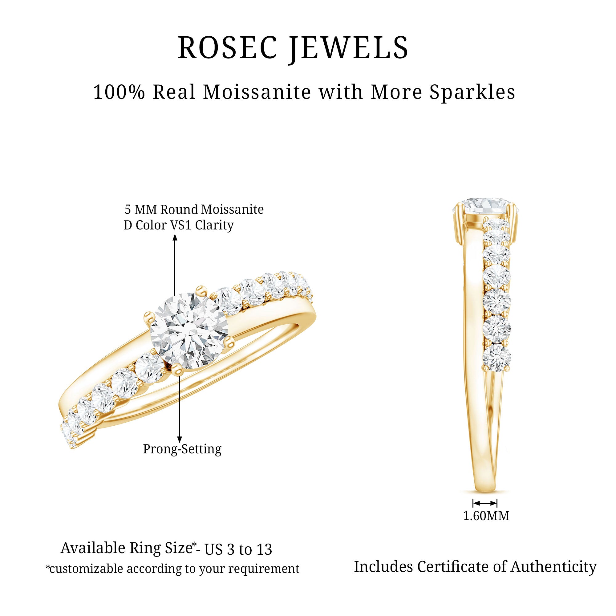 Round Cut Moissanite Engagement Ring with Side Stones D-VS1 - Rosec Jewels