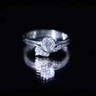 Rosec Jewels-Solitaire Moissanite Wedding Ring Set for Her