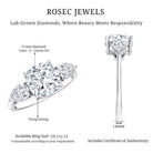 Rosec Jewels-IGI Documented 3 Carat Cushion Cut Lab Grown Diamond Journey Ring