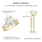 4.4 Carat Moissanite Solitaire Engagement Ring with Ring Guard D-VS1 - Rosec Jewels