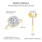 Victorian Style 3 Carat Cushion Moissanite Halo Engagement Ring D-VS1 - Rosec Jewels