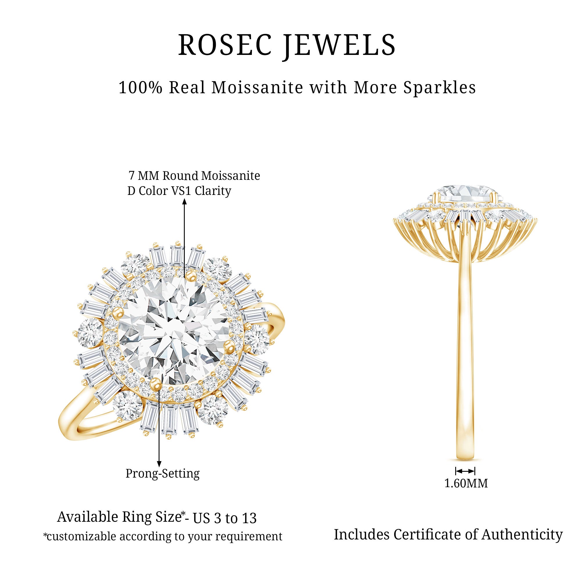 Certified Moissanite Double Halo Engagement Ring for Women D-VS1 - Rosec Jewels