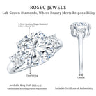 5 Carat Cushion Cut Lab Grown Diamond Journey Ring with IGI Certificate Lab - ( E-VS1 ) - Rosec Jewels