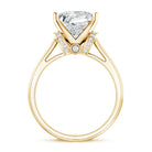 Rosec Jewels-4 Carat Princess Cut Lab Grown Diamond Solitaire Engagement Ring IGI Certified