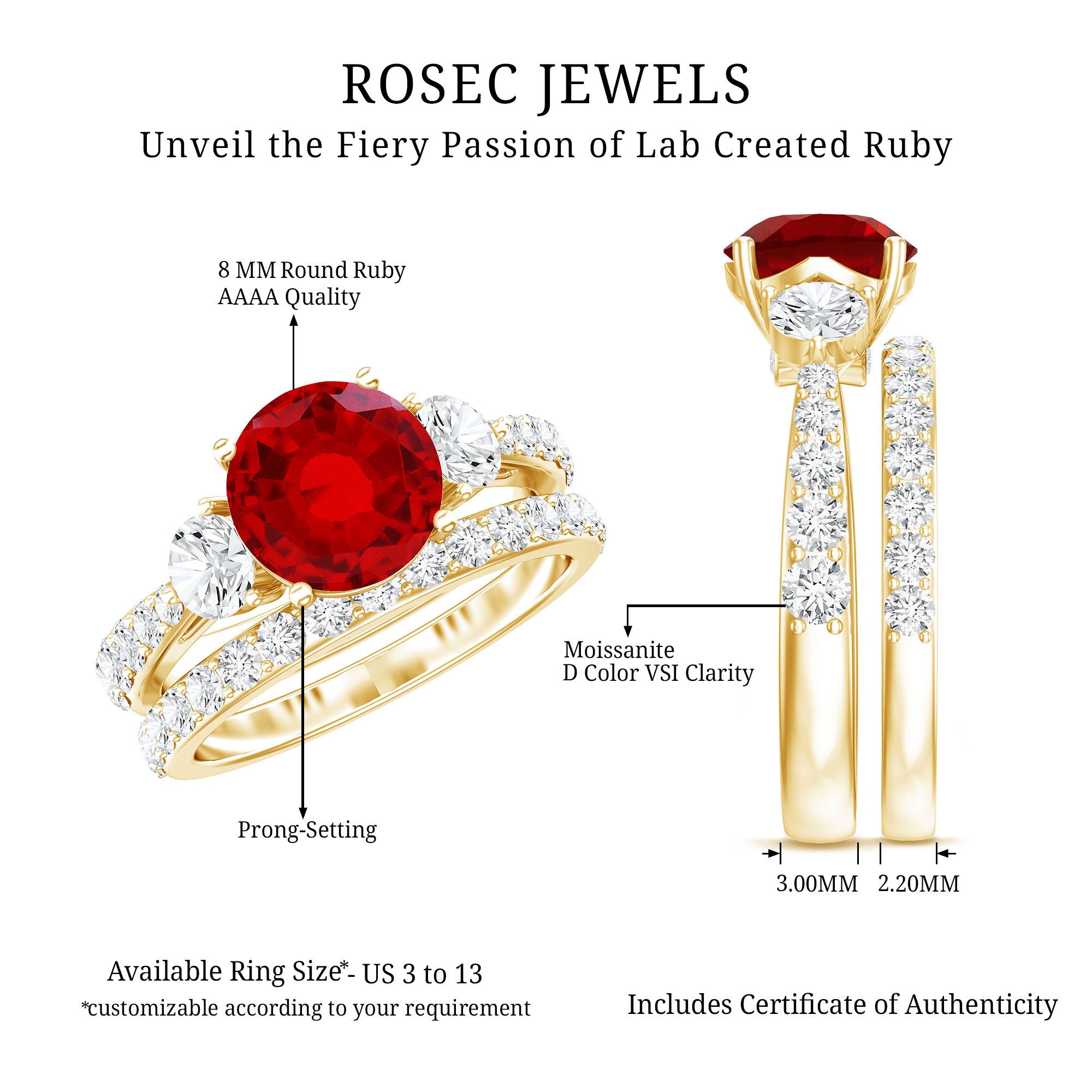 2.3 Carat Lab Created Ruby Bridal Ring Set with Moissanite AAAA - Rosec Jewels